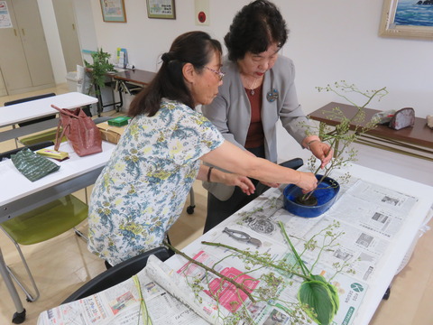 生け花教室(池坊)